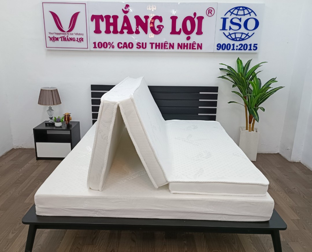 Sự đổi mới trong cách ngủ: sử dụng nệm gấp 3 để tận hưởng một giấc ngủ tốt hơn