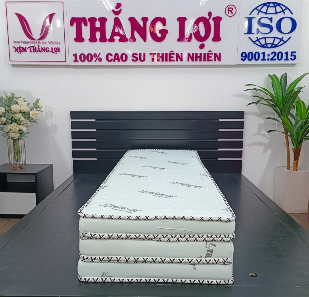 Thiết kế nệm gấp 3: sự linh hoạt vượt trội cho không gian sống nhỏ