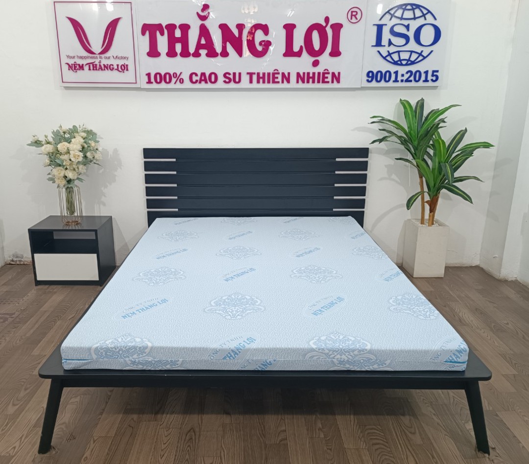 NỆM ROSI MASSAGE THẮNG LỢI