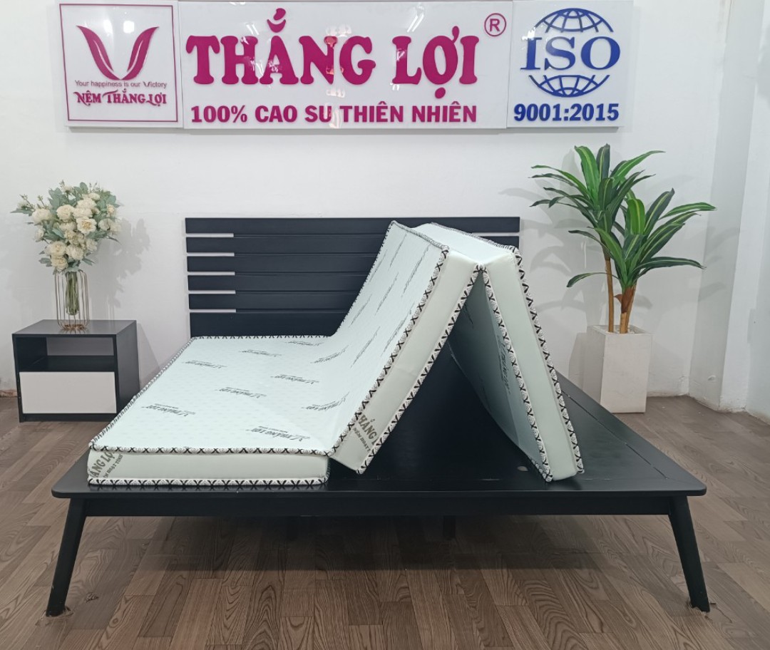 NỆM CAO SU HOẠT TÍNH THẮNG LỢI GẤP 3