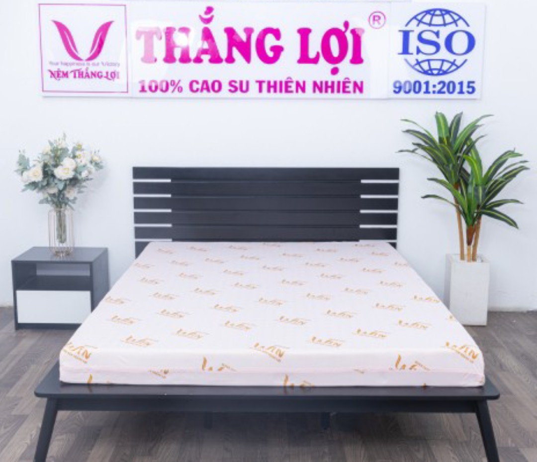 NỆM WIN FOAM THẮNG LỢI