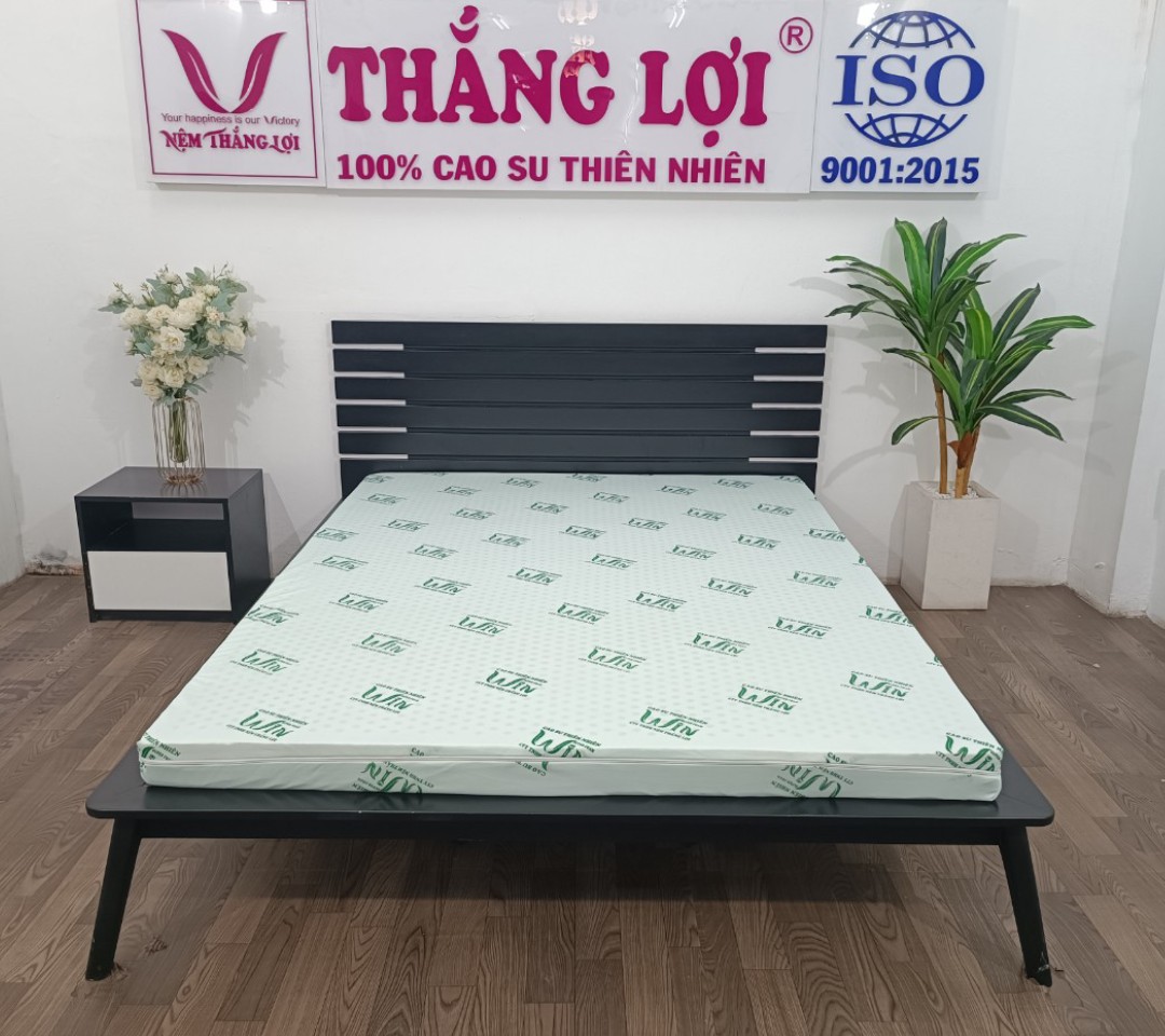 NỆM SUPER WIN THẮNG LỢI